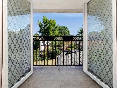 Picture 21